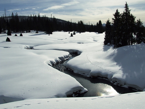 Šumava-Březník-Luzenský potok